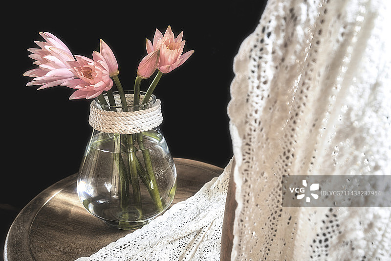 初夏一束在玻璃花瓶中盛开的粉色睡莲图片素材