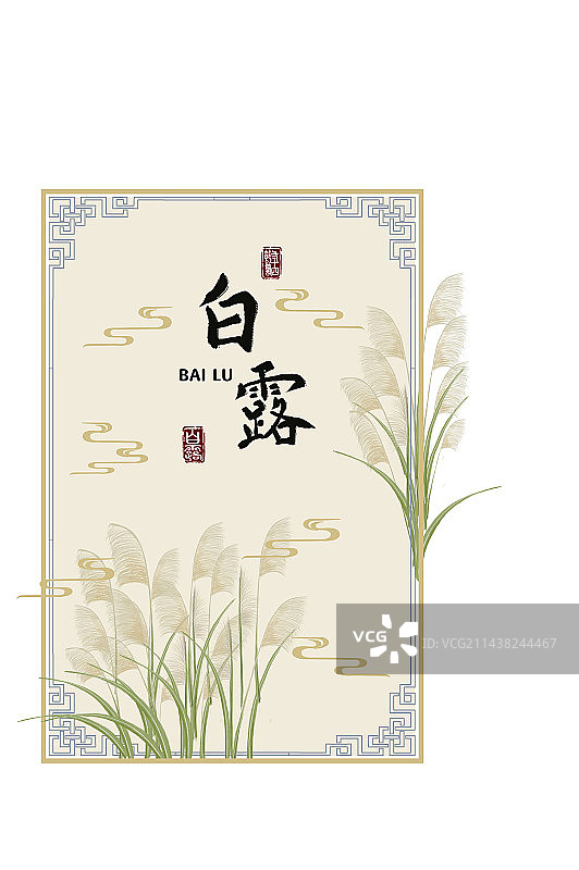 白露,二十四节气,芒草图片素材