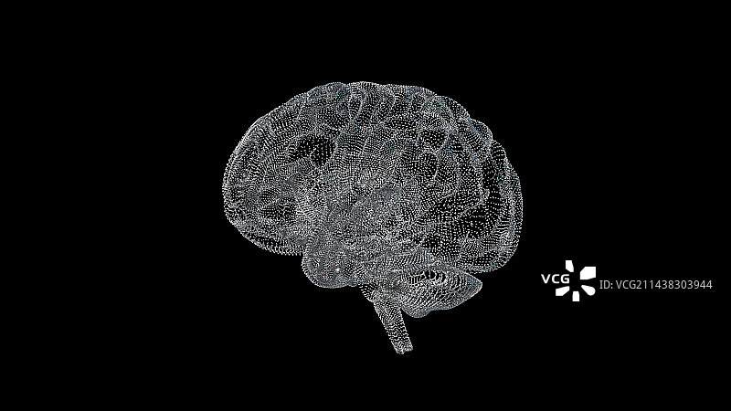人的大脑图片素材