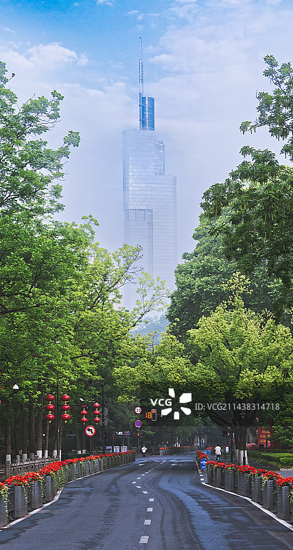 绿荫马路与南京紫峰大厦图片素材
