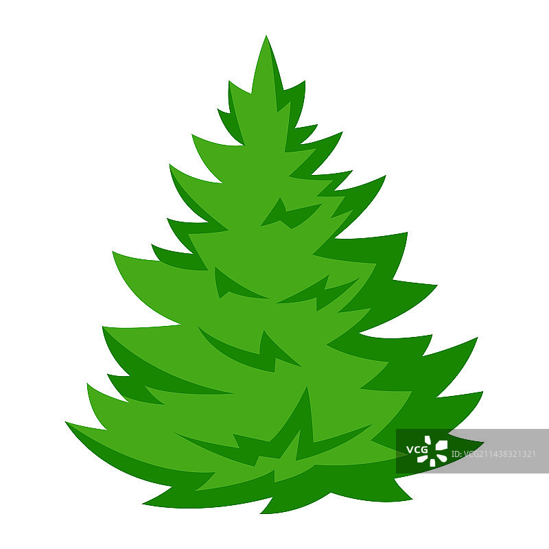 冷杉树森林或公园景观图片素材