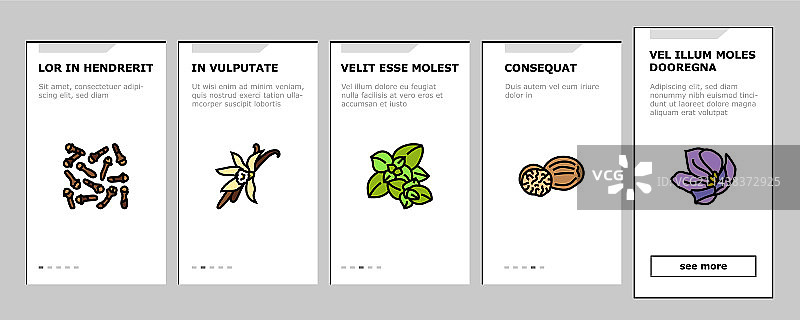 香料食品草本叶子引导图标集图片素材