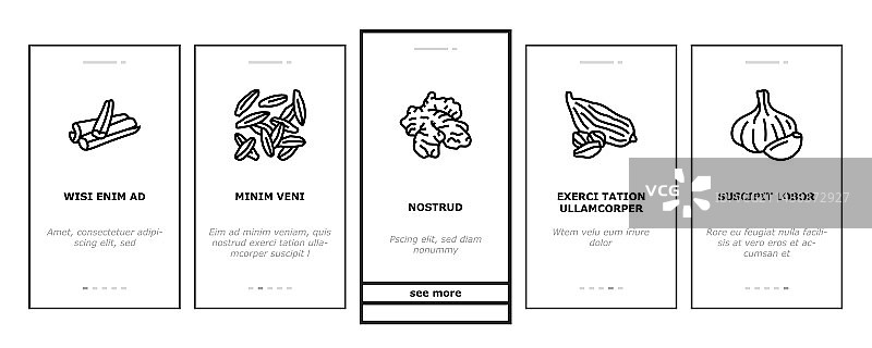 香料食品草本叶子引导图标集图片素材