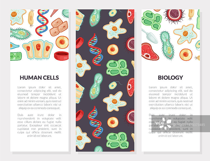 医学人体细胞竖版banner图片素材