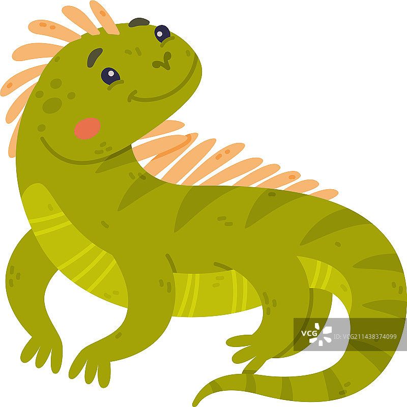有趣的绿色鳞状鬣蜥角色图片素材