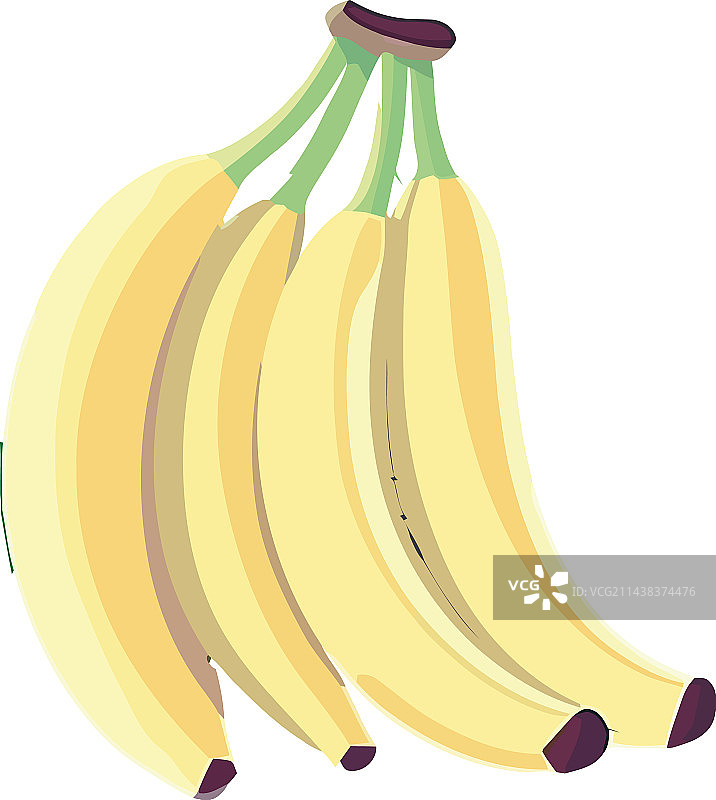 新鲜有机香蕉：健康素食零食图片素材