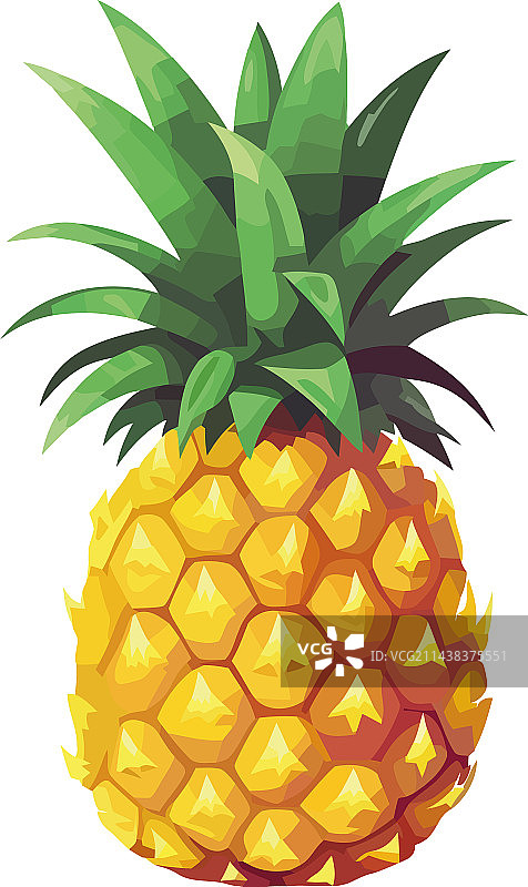 象征健康的成熟菠萝图片素材