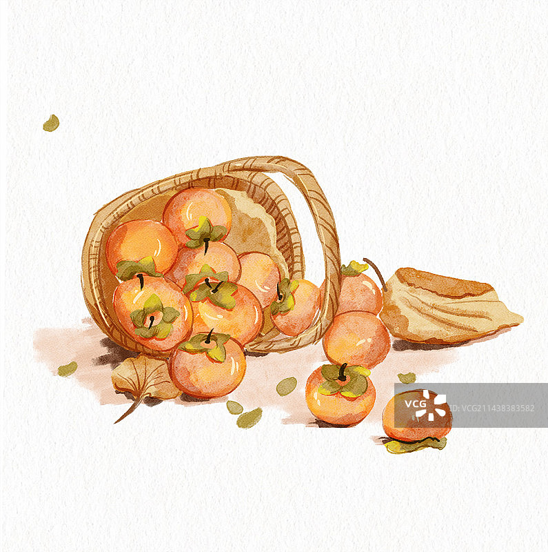 一筐柿子图片素材