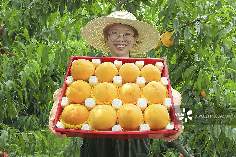 手里拿着锦绣黄桃图片素材