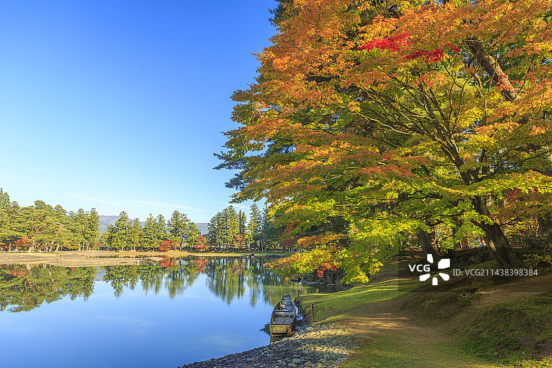 日本岩手县平泉町毛越寺大泉池秋叶图片素材