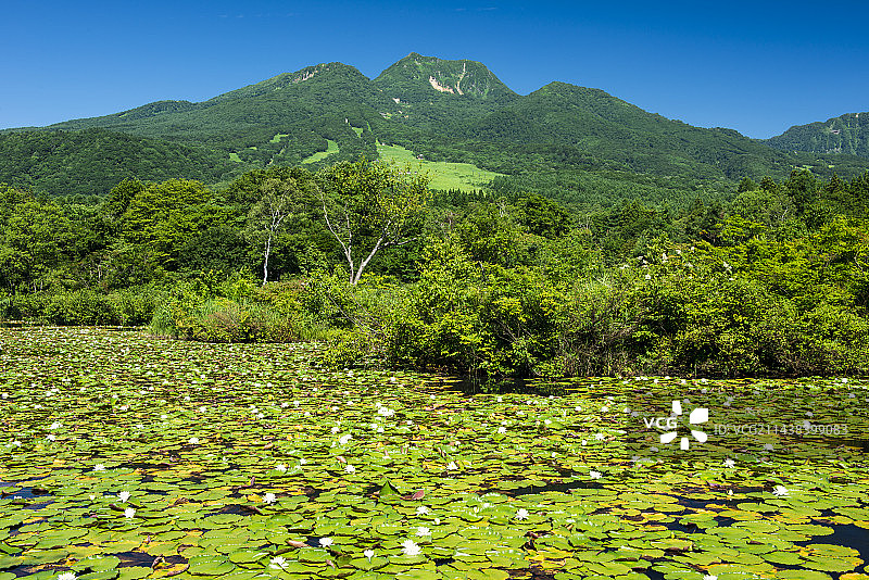 妙高市伊守池与妙高山，新泻县图片素材