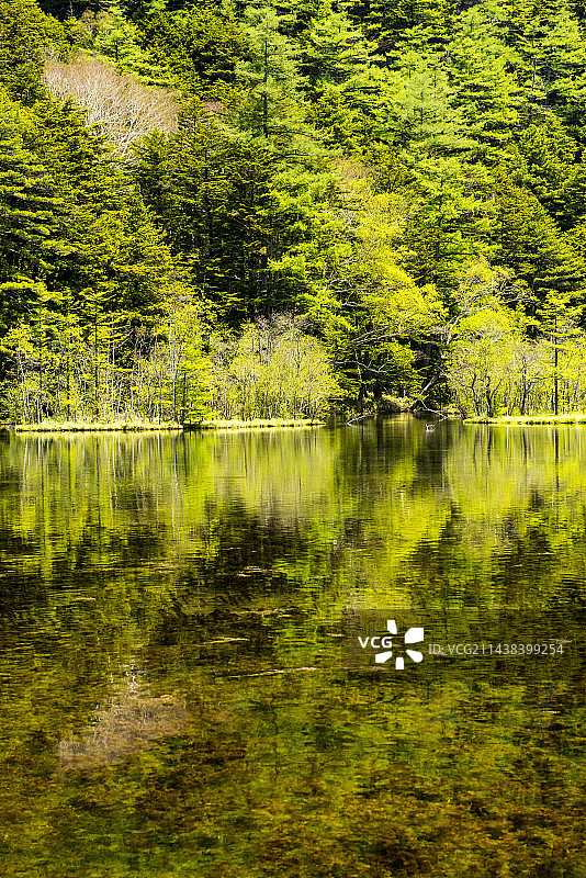 长野县松本市明神池图片素材