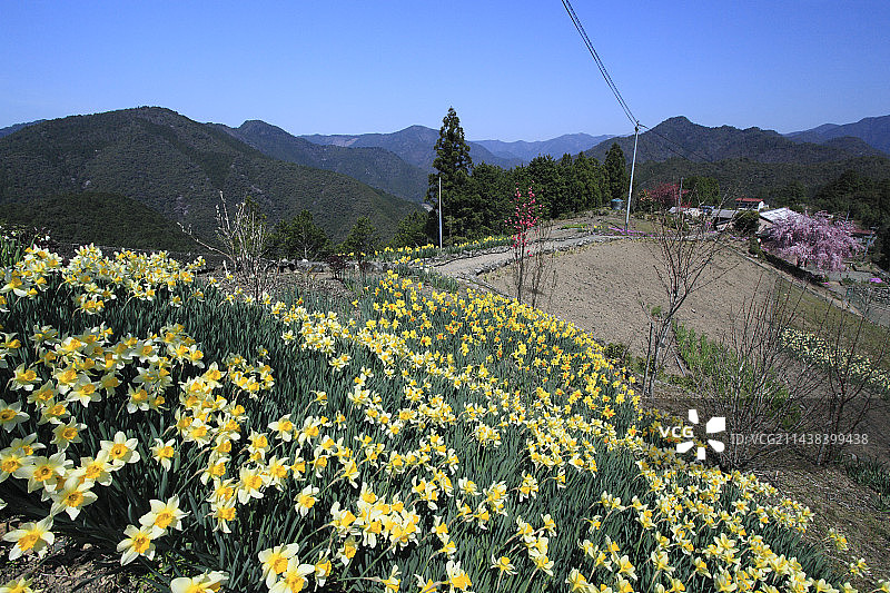 熊野古道小路纪念碑，奈良县吉野郡十津川村图片素材