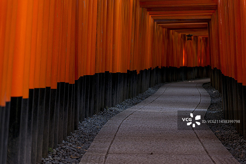 京都伏见稻荷大社的成千上万座朱红色鸟居图片素材