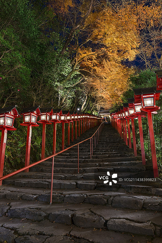 贵船神社的秋色与灯光，位于京都市左京区鞍马贵船町图片素材