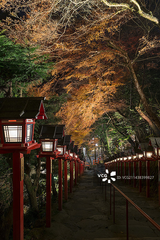 贵船神社的秋色与灯光，位于京都市左京区鞍马贵船町图片素材