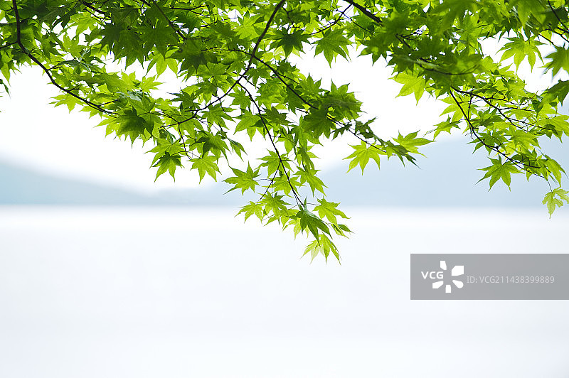 日本栃木县日光市中禅寺湖新绿美景图片素材