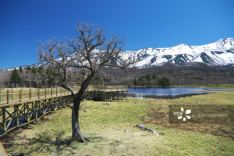 日本北海道斜里郡知床五湖和知床山脉图片素材