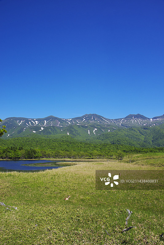 北海道斜里郡斜里的知床山脉和鹿图片素材