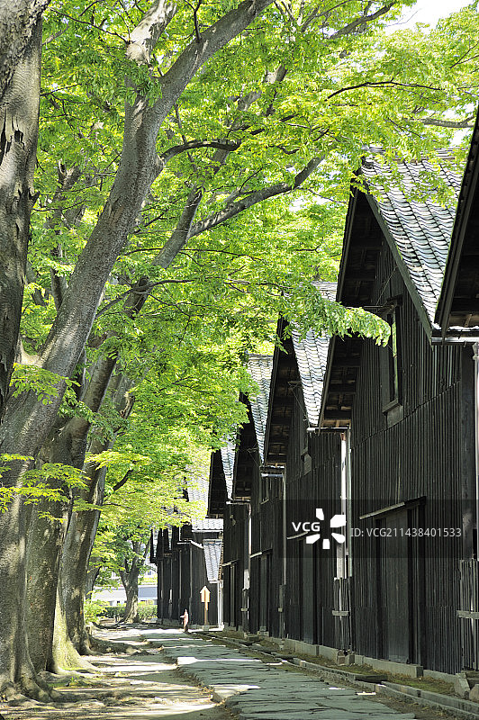 山居仓库，位于山形县酒田市的新鲜绿地图片素材