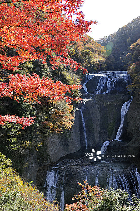 秋季的袋田瀑布，大子町，茨城县图片素材
