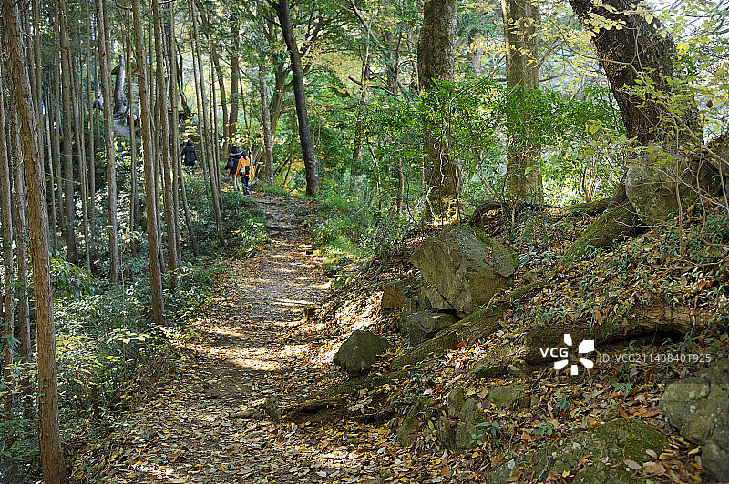 奥多摩町幡野助谷山路，东京图片素材