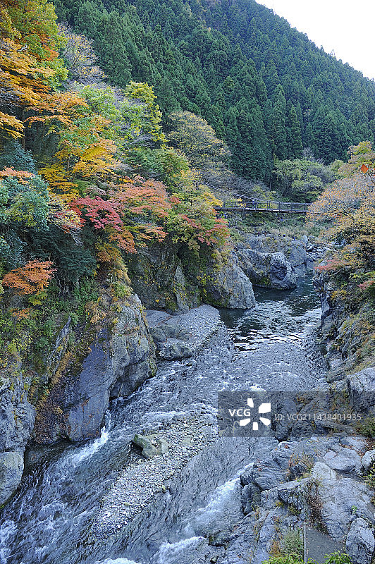 奥多摩町的幡野助谷秋景图片素材