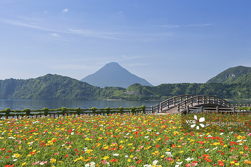 日本鹿儿岛县指宿市池田湖和开闻岳的花园图片素材