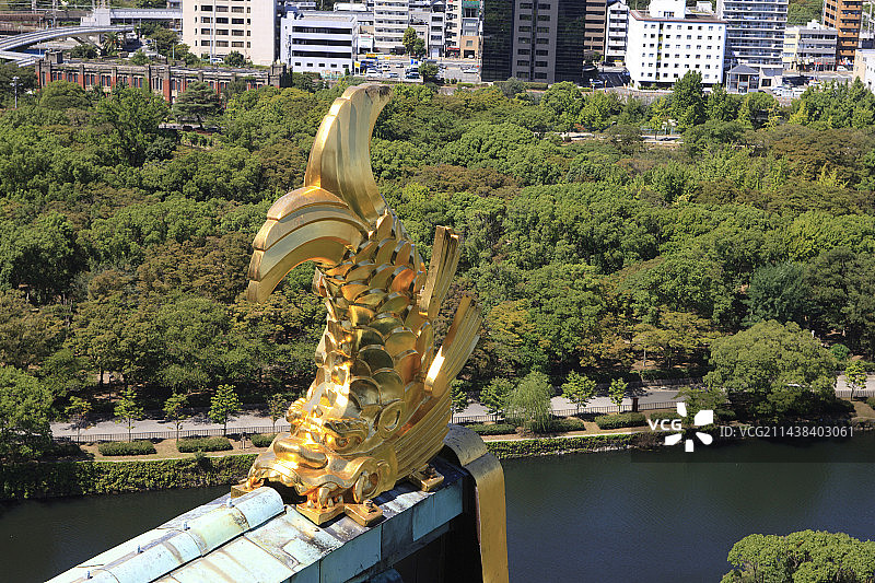 大阪城与金色鲤鱼图片素材