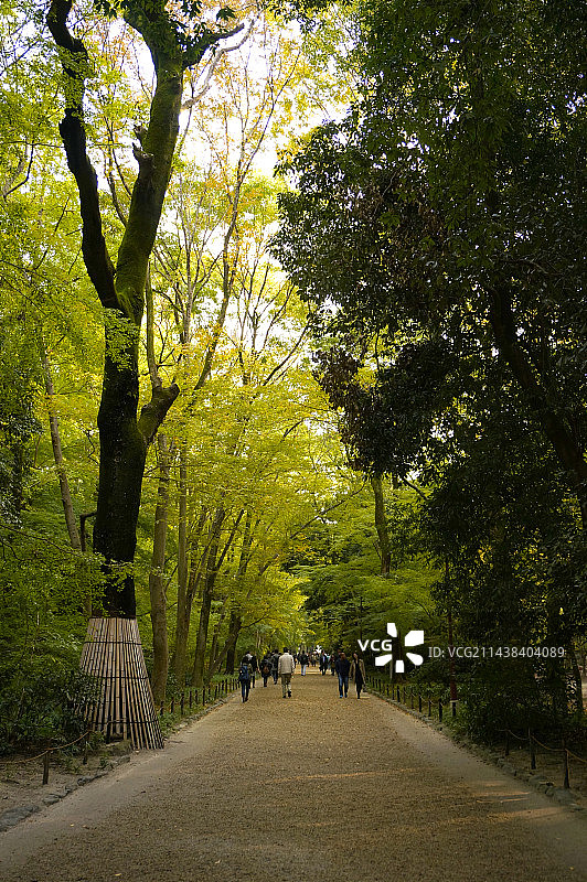 通往日本京都市下鸭神社的道路图片素材
