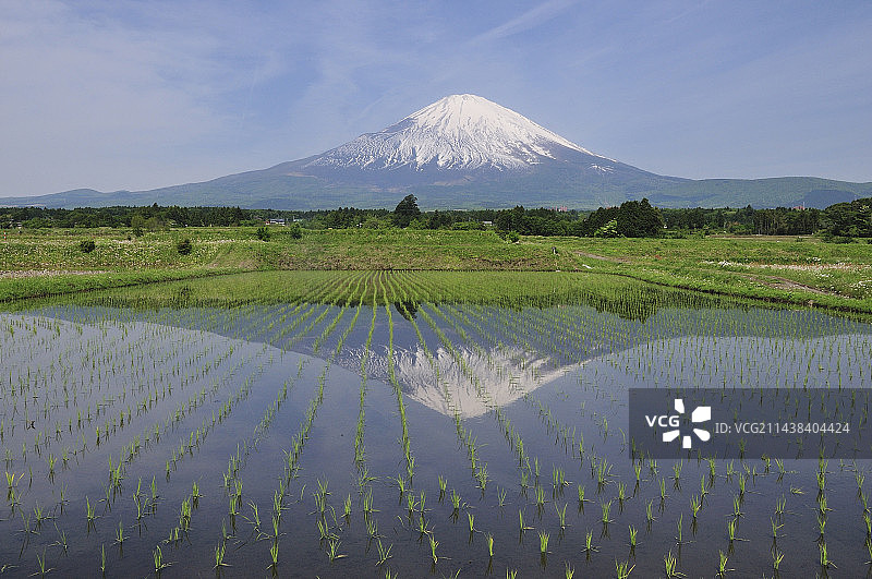 富士山，静冈县御殿场图片素材