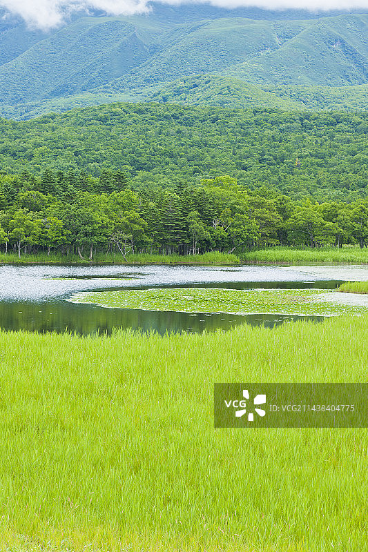 日本北海道斜里町知床五湖图片素材
