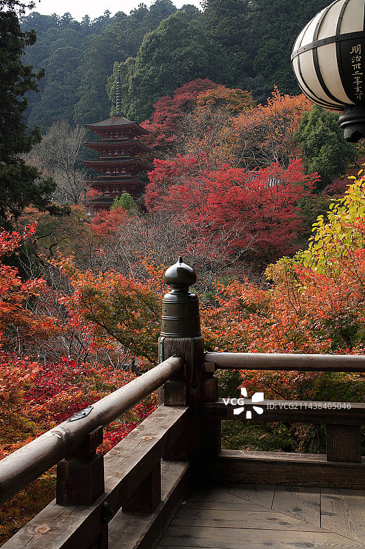 奈良县长谷寺图片素材