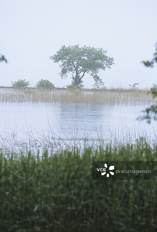 日本秋田县仙北市田泽湖一本木图片素材