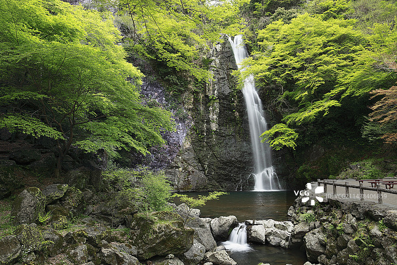 大阪箕面瀑布的清新绿意图片素材