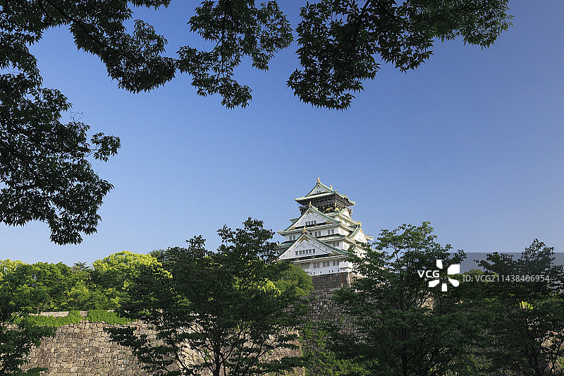 新鲜绿色的大阪城，日本大阪府大阪市中央区图片素材