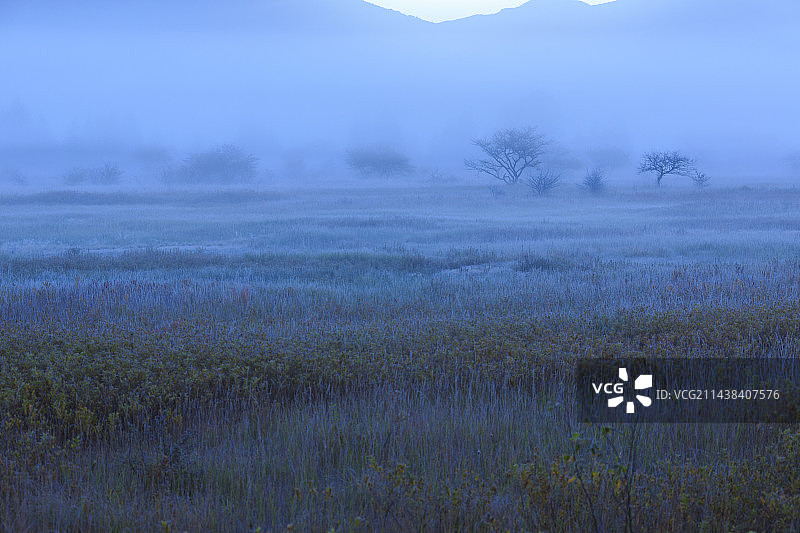 日本枥木县日光市清晨雾霾中的小坂原图片素材