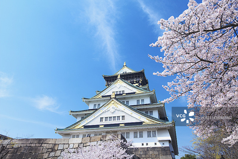 大阪城与樱花，大阪府大阪市图片素材
