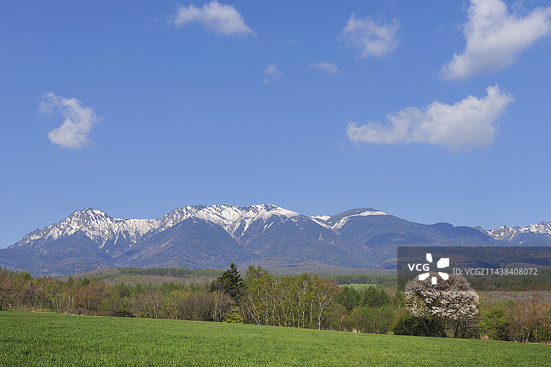 八岳高原残雪与山梨花图片素材