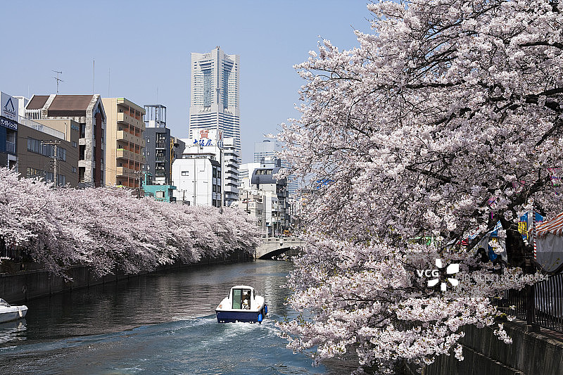 横滨地标大厦与树木（神奈川县）图片素材