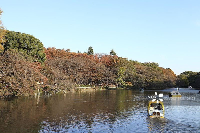 东京都武藏野市的井之头恩赐公园图片素材