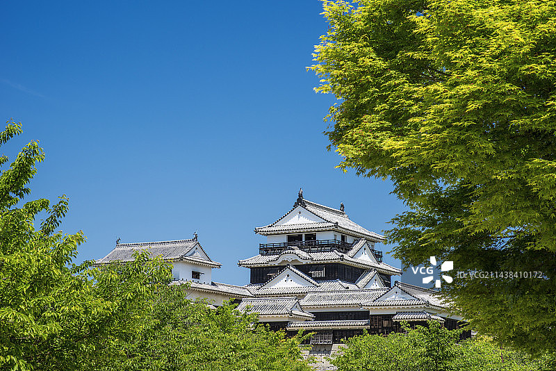 爱媛县松山市松山城图片素材