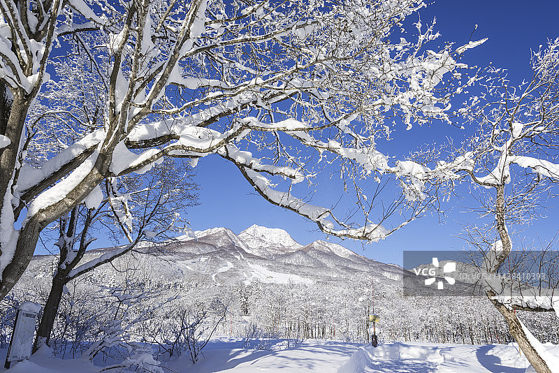 日本新泻县妙高山图片素材