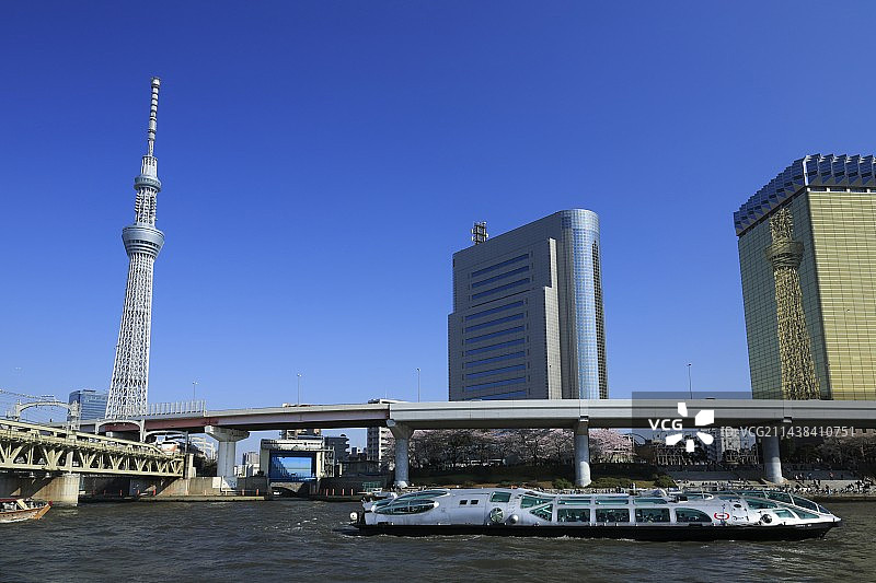 东京浅草隅田川盛开的樱花和东京晴空塔图片素材