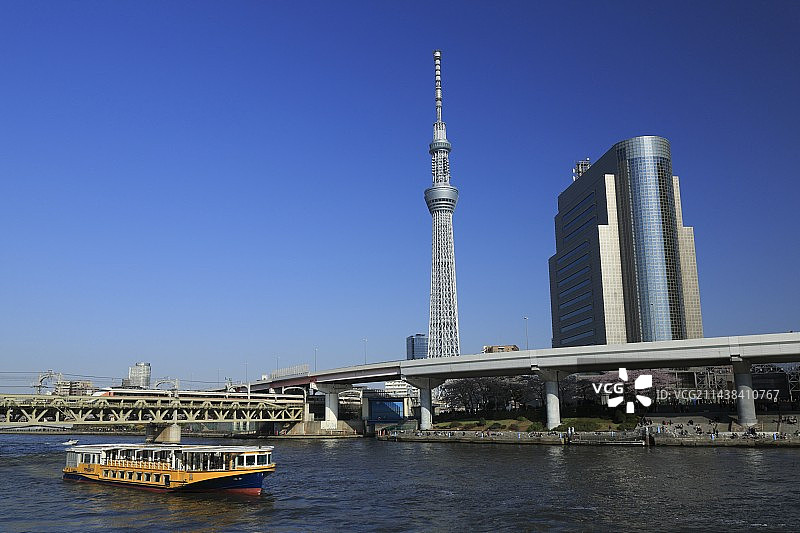 东京浅草隅田川盛开的樱花和东京晴空塔图片素材