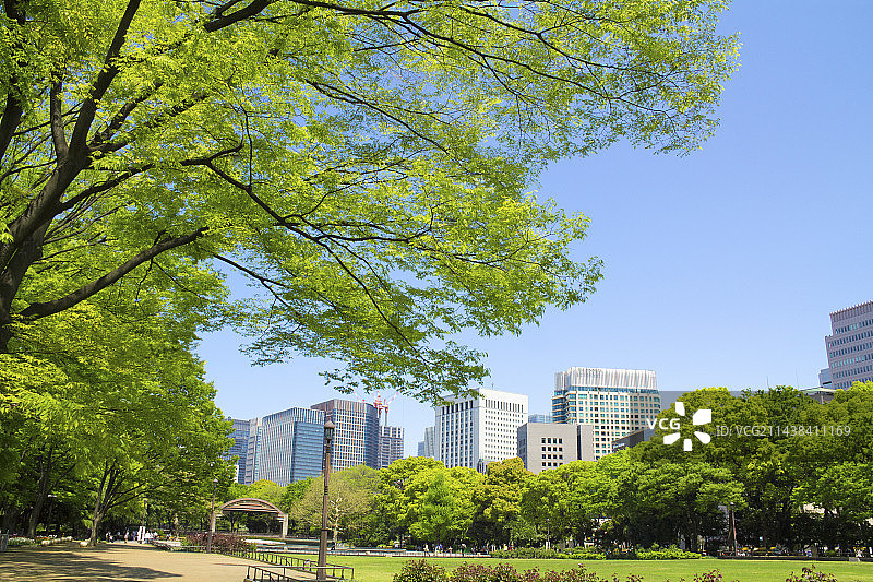日比谷公园和丸之内大厦的新鲜绿植图片素材