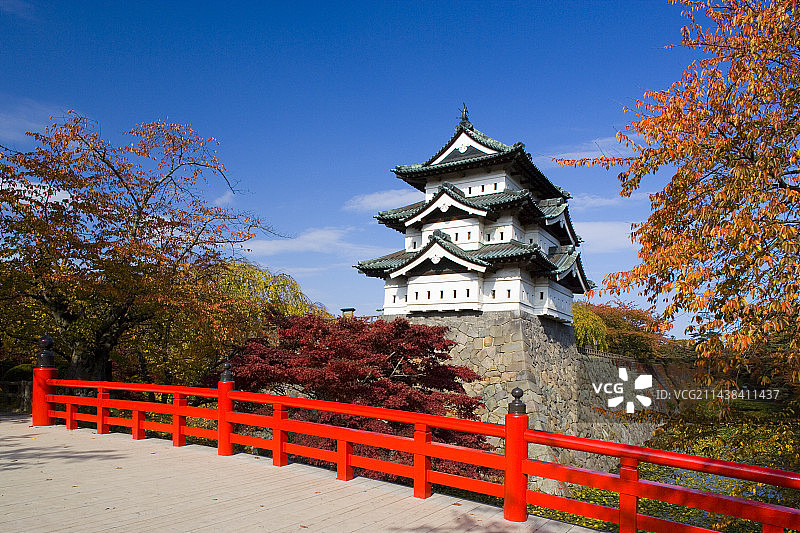 青森县弘前市弘前城的秋色枫叶和樱花树图片素材
