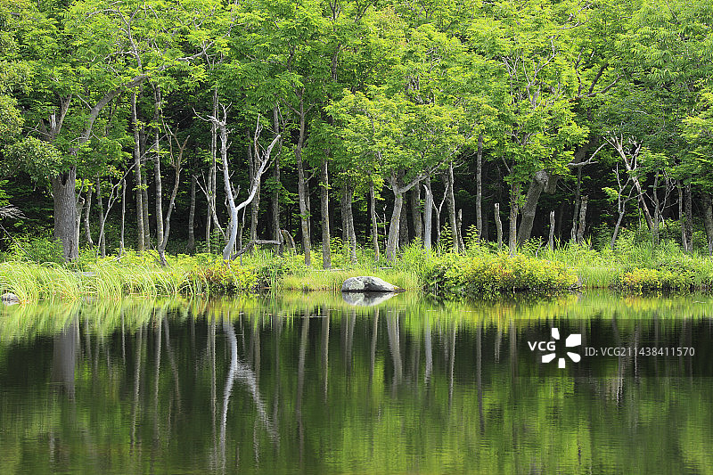 北海道斜里郡斜里町知床湖图片素材