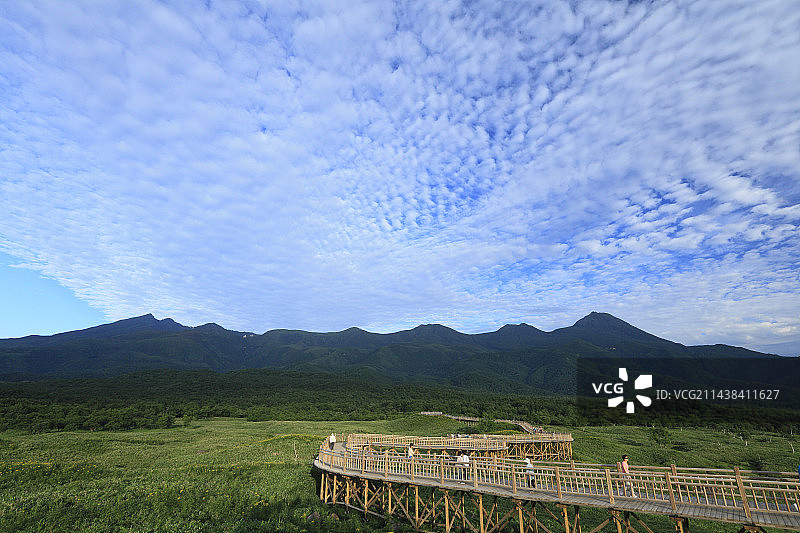 知床五湖的木板路和知床山脉（北海道斜里町）图片素材