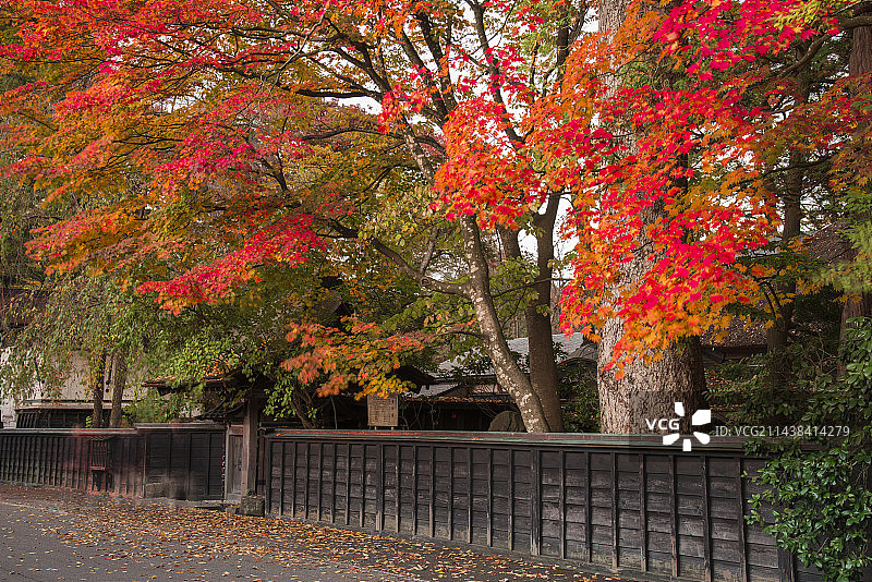 日本角馆武士宅邸秋色（位于秋田县仙北市）图片素材
